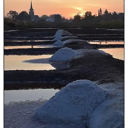 Kermit - Maison Proche Plages 別荘 *